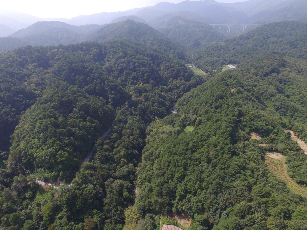 DJI_0010.JPG