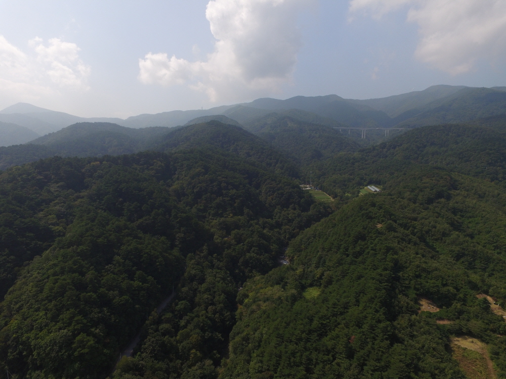 DJI_0011.JPG